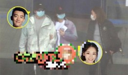 苗苗郑恺最新爆料,揭秘甜蜜爱情背后的故事