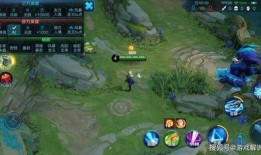 爆料王者打野视频大全最新