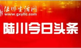 陆川头条最新爆料,揭秘电影幕后故事与幕后英雄