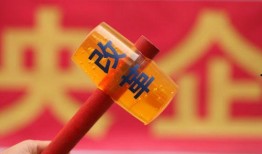 爆料鸡血行情最新消息,鸡血行情最新动态，市场风云再起！