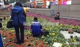 重庆小学爆料案件最新情况,真相逐步浮出水面