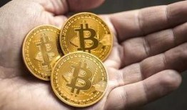 深圳比特币最新爆料,最新爆料揭秘市场动态